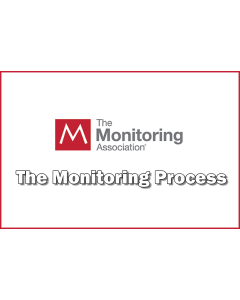 The Monitoring Process